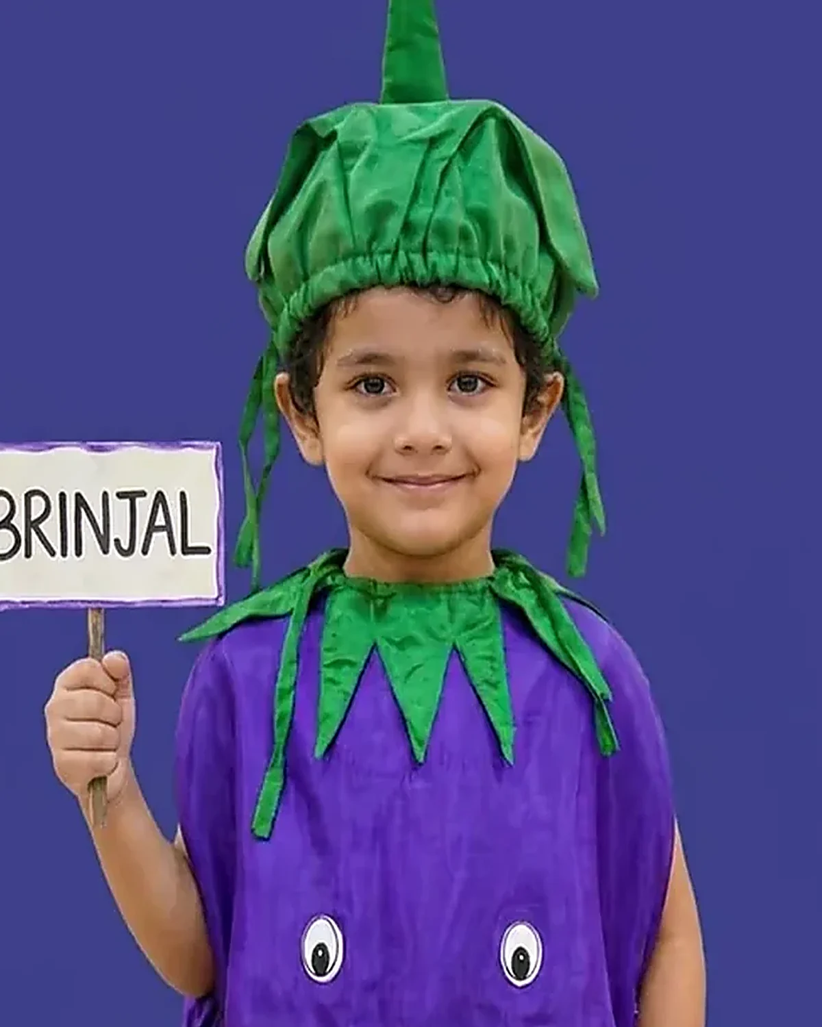 Brinjal Costume for kids — Top half close-up — Purple/Green colour — Polyester fabric — Indian sizes One Size — Fruits / Vegetables fancy dress for school annual day & sports day — Kolkata & West Bengal delivery — ZapCostumes