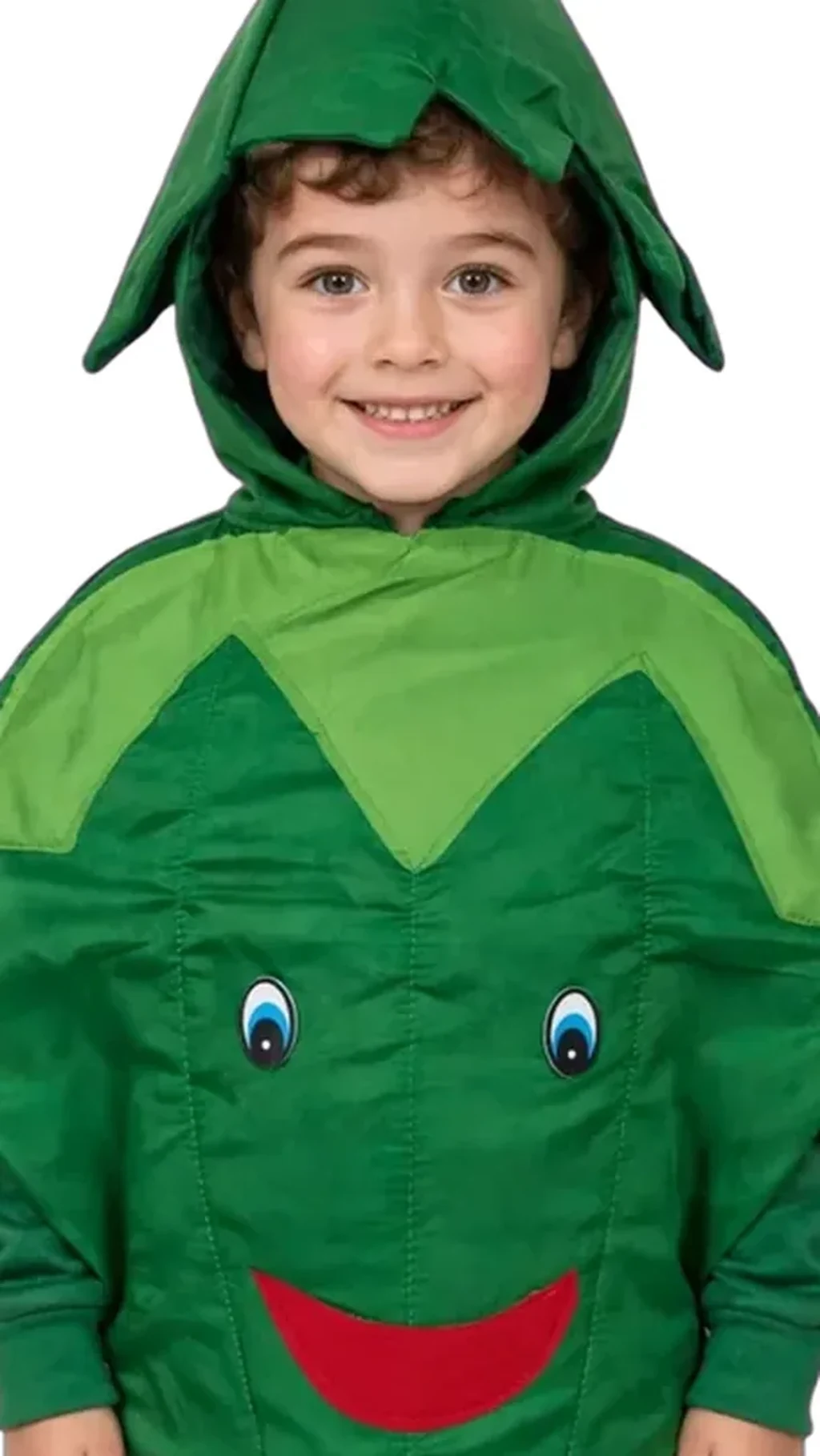 Green Chilli Costume for kids — Zoomed-in fabric & detail view — Green colour — Polyester fabric — Indian sizes One Size — Fruits / Vegetables fancy dress for school annual day & sports day — Kolkata & West Bengal delivery — ZapCostumes