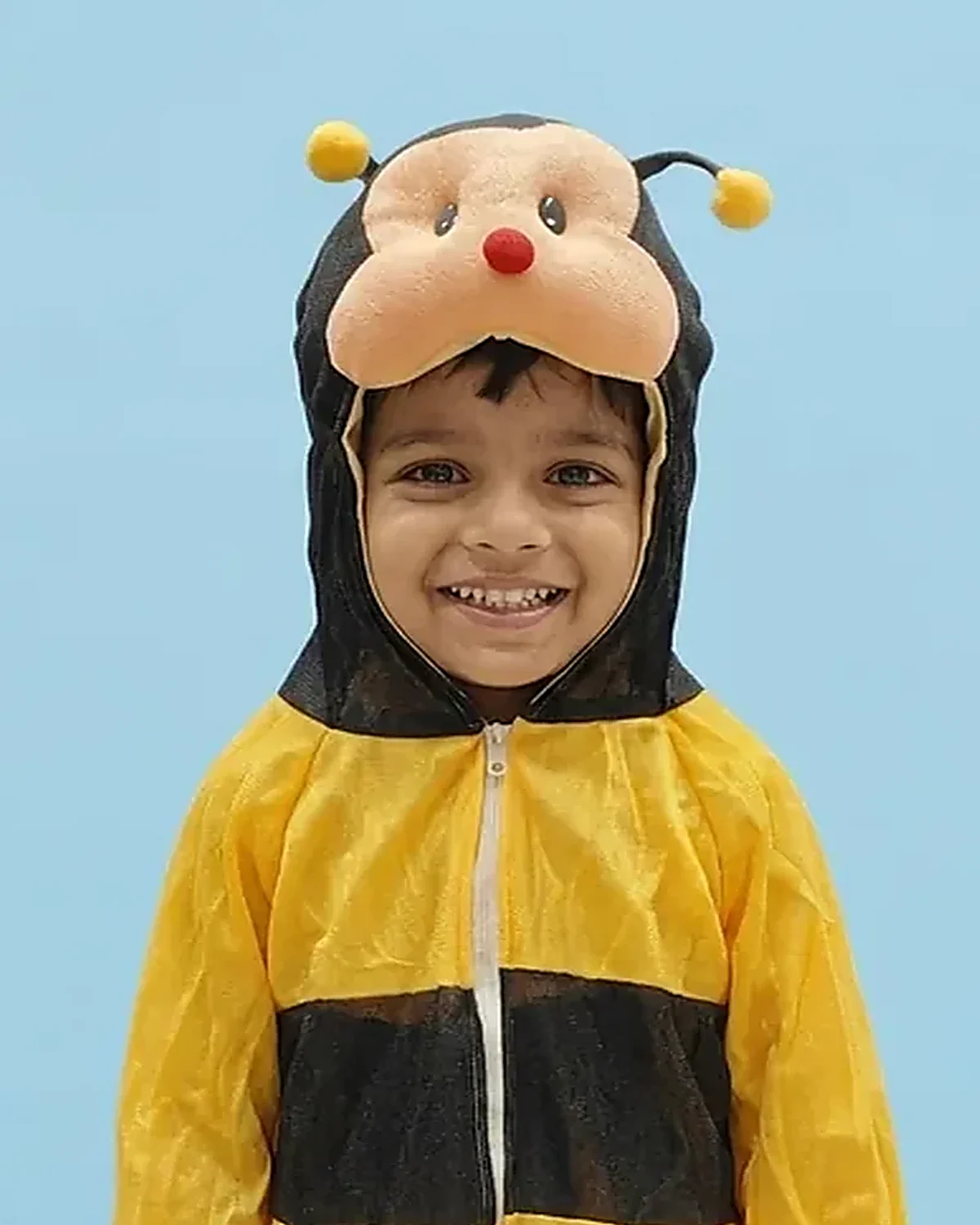 Bumble Bee Costume for kids — Top half close-up — Yellow/Black colour — Plush Polyester fabric — Indian sizes S–L — Animals fancy dress for school annual day & sports day — Kolkata & West Bengal delivery — ZapCostumes